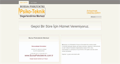 Desktop Screenshot of bursapsikoteknik.com.tr
